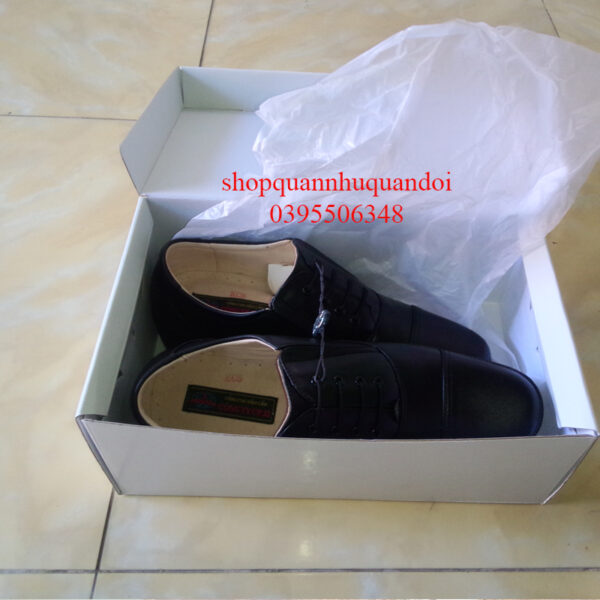 Giày cấp tá